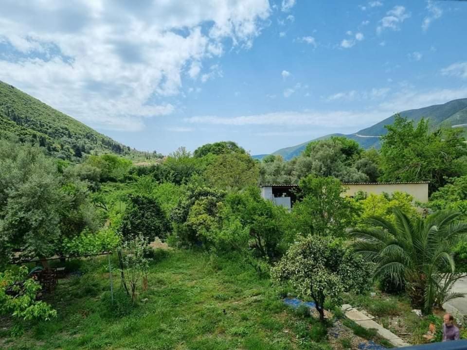 Chris Apartment Vasiliki Exterior foto
